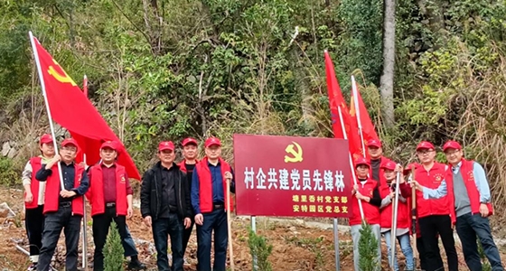 村企共建，，，，，共植先锋林